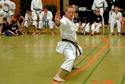 Fujiwara Karate